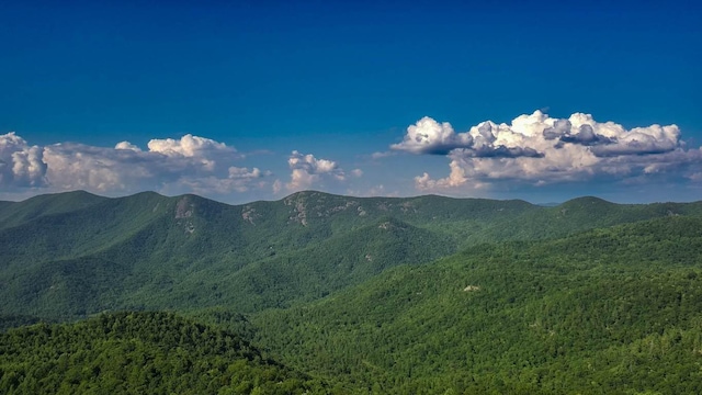 00 Buck Knob Rd, Scaly Mountain, NC 28775