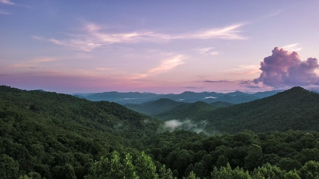 00 Buck Knob Rd, Scaly Mountain, NC 28775