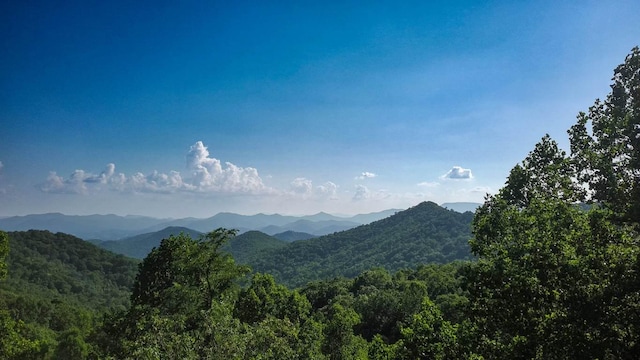 00 Buck Knob Rd, Scaly Mountain, NC 28775