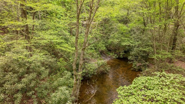 30 Eucalyptus Dr, Glenville, NC 28736 - photo 4