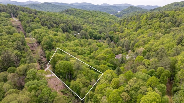 30 Eucalyptus Dr, Glenville, NC 28736 - photo 9