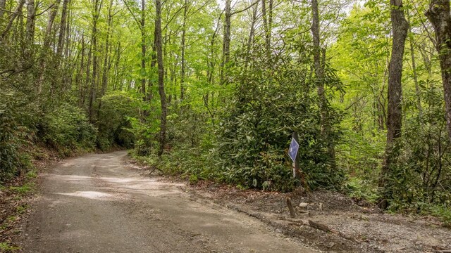 30 Eucalyptus Dr, Glenville, NC 28736 - photo 2