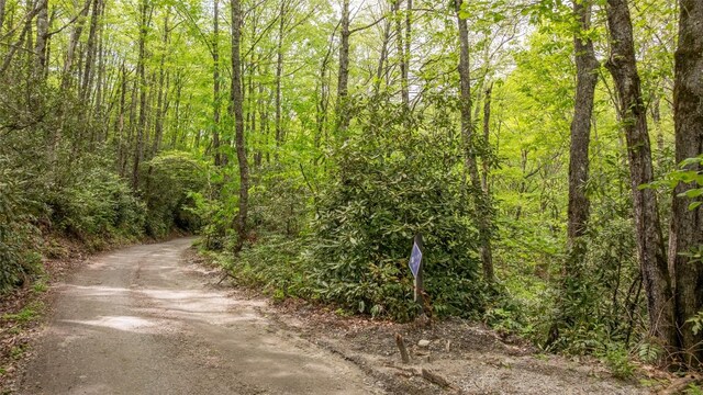 30 Eucalyptus Dr, Glenville, NC 28736 - photo 1