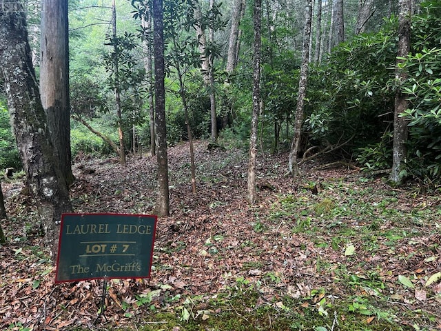 Lot7 Cascades Falls Trail, Cashiers NC, 28717 land for sale