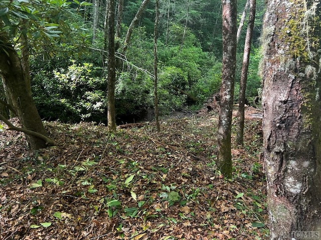 Listing photo 2 for Lot7 Cascades Falls Trail, Cashiers NC 28717