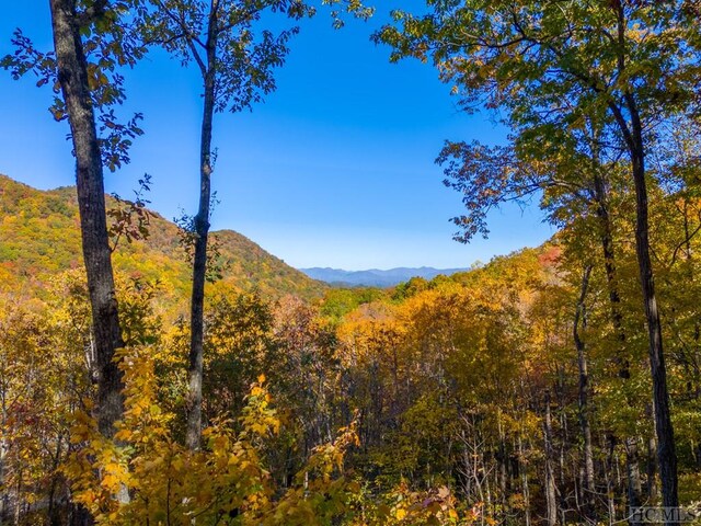 property view of mountains