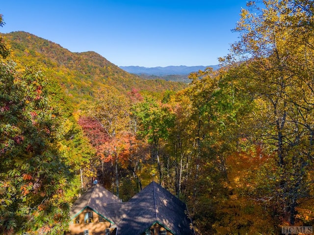 property view of mountains