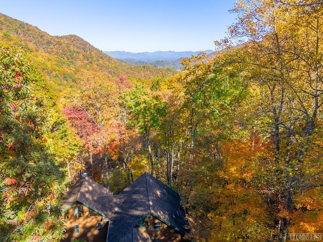 property view of mountains