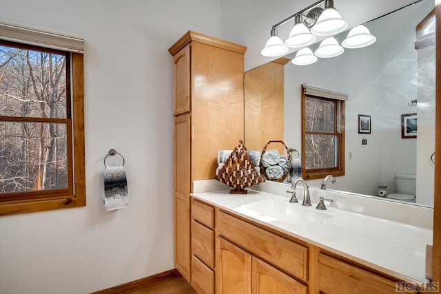 bathroom with vanity and toilet