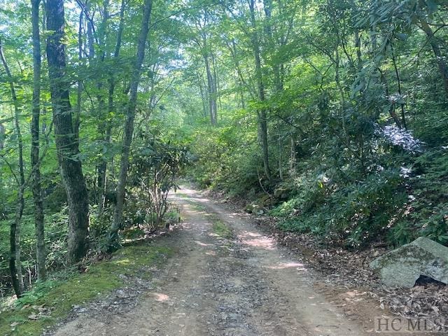 N/A N/A, Scaly Mountain NC, 28775 land for sale