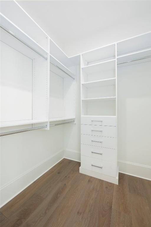 spacious closet featuring dark wood-style floors