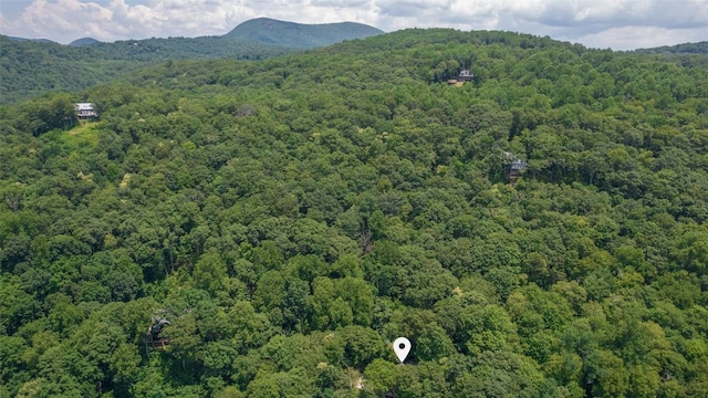 378 Hurrah Rdg, Scaly Mountain, NC 28775 - photo 53