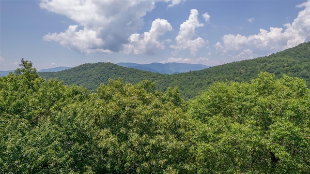 378 Hurrah Rdg, Scaly Mountain, NC 28775 - photo 2