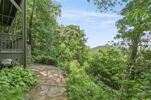 378 Hurrah Rdg, Scaly Mountain, NC 28775 - photo 47