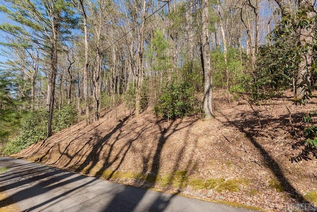 Listing photo 2 for LOT7 Elm Dr, Highlands NC 28741