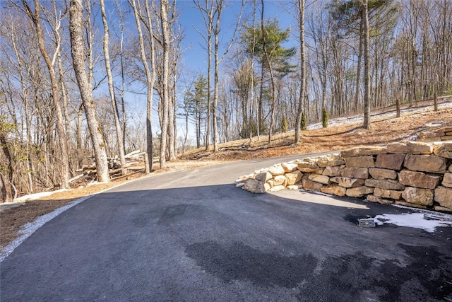 1086 Roaming Rd, Glenville, NC 28736 - view of road