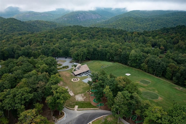 1086 Roaming Rd, Glenville, NC 28736 - bird's eye view featuring a forest view and a mountain view