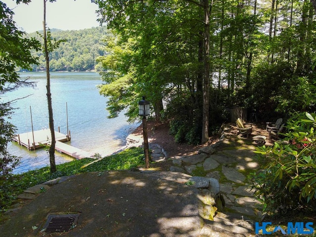 water view with a view of trees and a floating dock