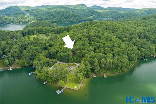 birds eye view of property with a water and mountain view and a view of trees