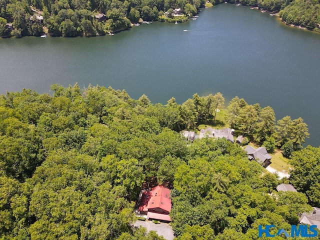 bird's eye view with a water view and a wooded view