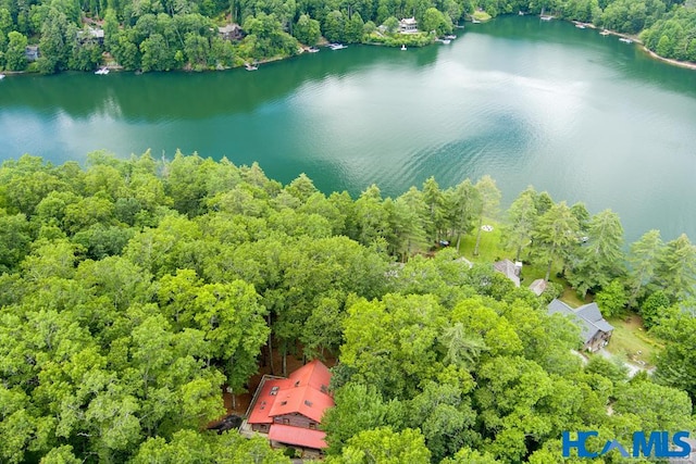 drone / aerial view with a water view and a view of trees