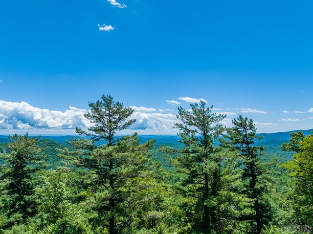 2266 S 4th St, Highlands, NC 28741