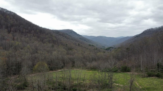 1005 Trout Creek Rd, Tuckasegee, NC 28783