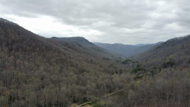 1005 Trout Creek Rd, Tuckasegee, NC 28783