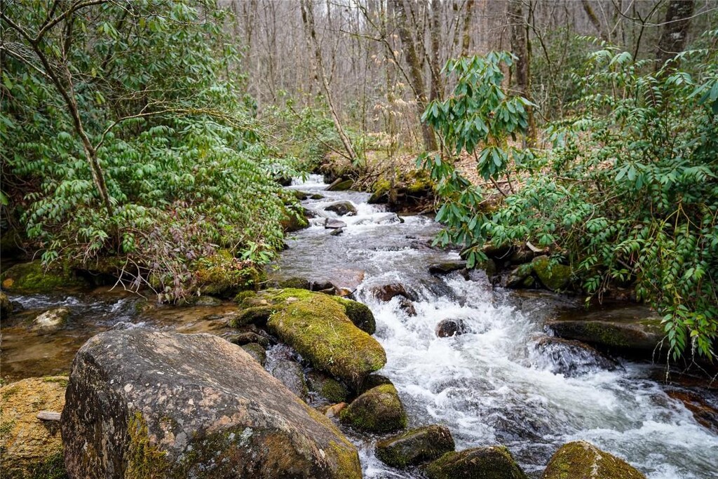 1005 Trout Creek Rd, Tuckasegee, NC 28783