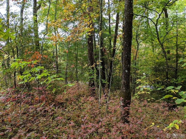 LOT157 Lonesome Valley Rd, Sapphire, NC 28774