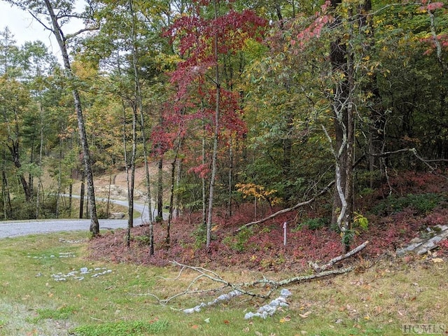 LOT157 Lonesome Valley Rd, Sapphire, NC 28774