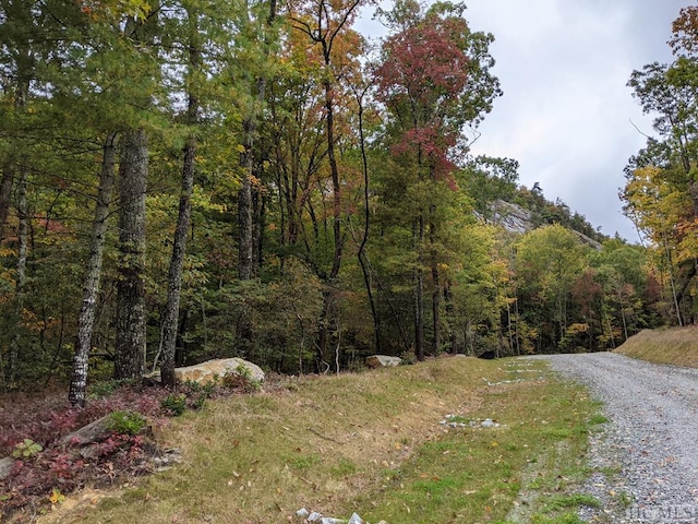 LOT157 Lonesome Valley Rd, Sapphire, NC 28774