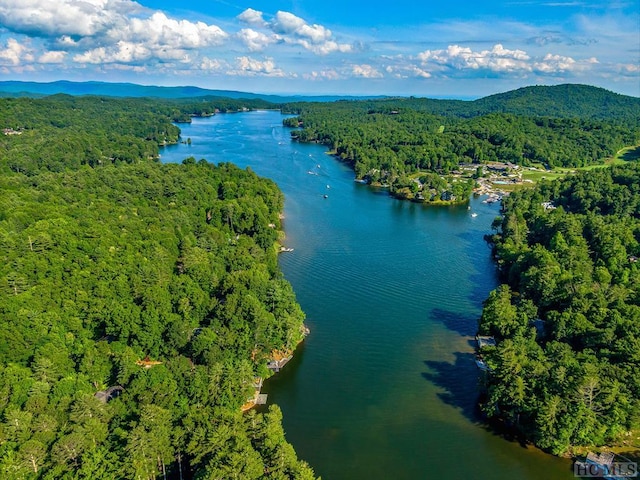 aerial view with a water and mountain view