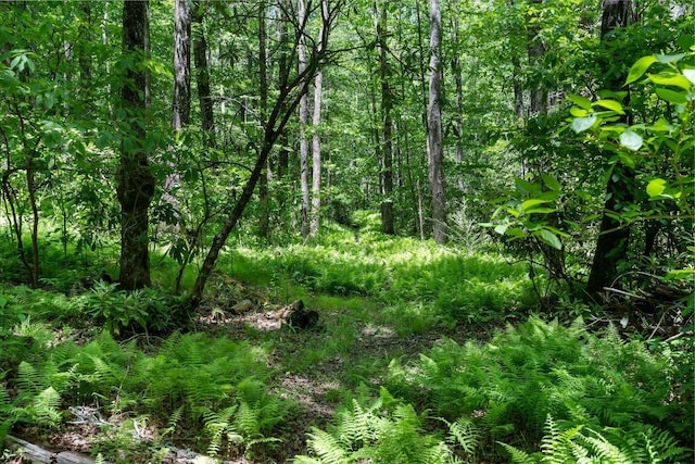 9999 W Club Blvd, Lake Toxaway, NC 28747