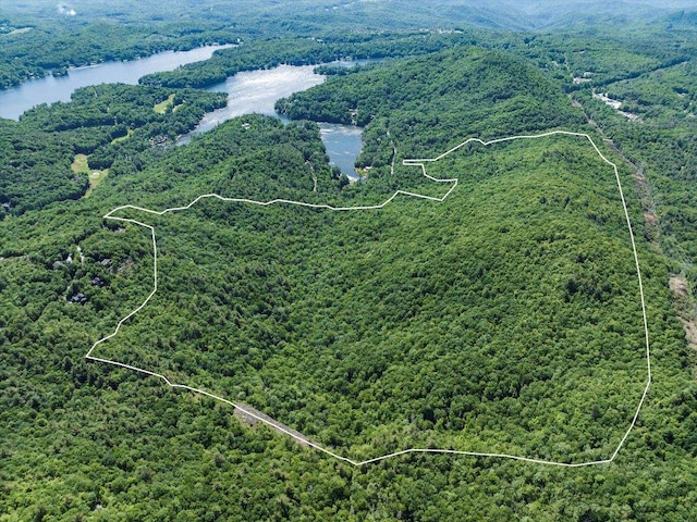 9999 W Club Blvd, Lake Toxaway, NC 28747