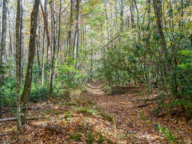 9999 W Club Blvd, Lake Toxaway, NC 28747