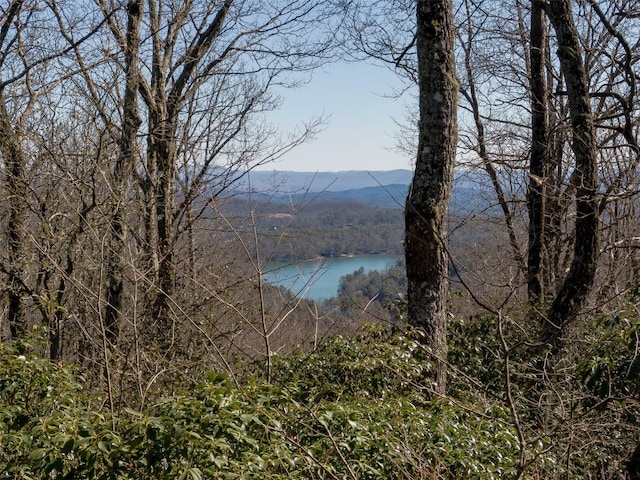 9999 W Club Blvd, Lake Toxaway, NC 28747