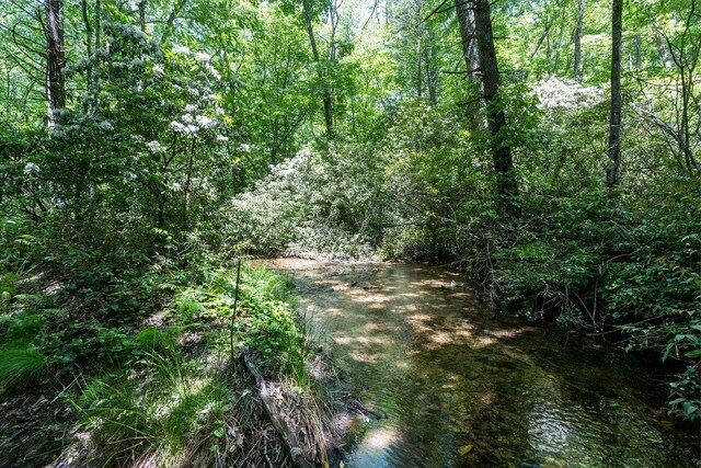 9999 W Club Blvd, Lake Toxaway, NC 28747