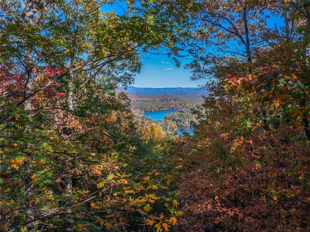 9999 W Club Blvd, Lake Toxaway, NC 28747