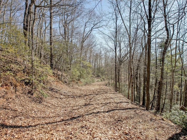 9999 W Club Blvd, Lake Toxaway, NC 28747