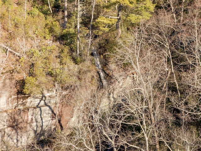 9999 W Club Blvd, Lake Toxaway, NC 28747