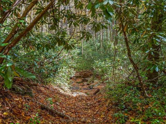 9999 W Club Blvd, Lake Toxaway, NC 28747