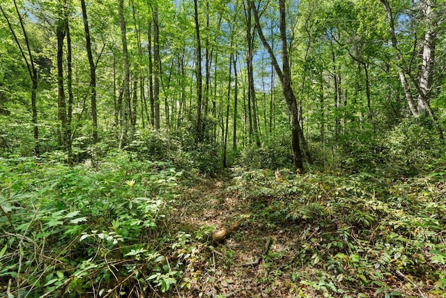 LT29/36 Long Brg N, Cullowhee, NC 28717