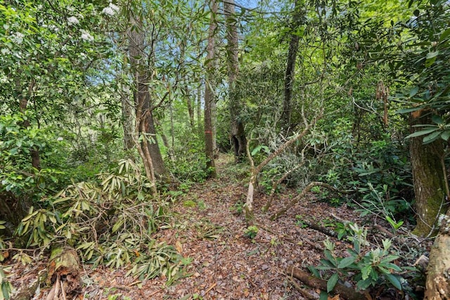 LT29/36 Long Brg N, Cullowhee, NC 28717