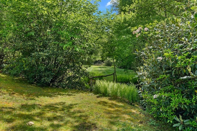 LT29/36 Long Brg N, Cullowhee, NC 28717