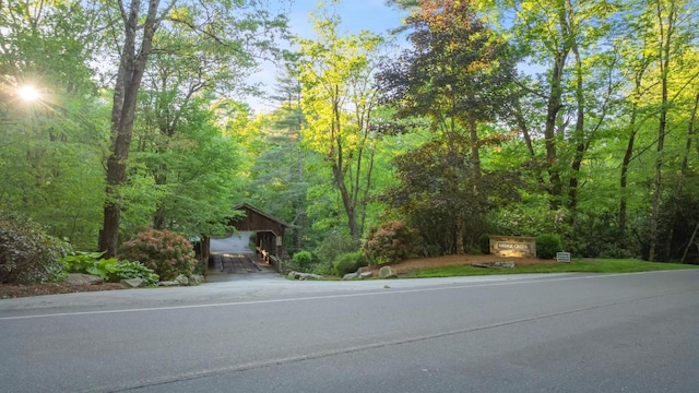 LT29/36 Long Brg N, Cullowhee, NC 28717