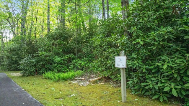 LT29/36 Long Brg N, Cullowhee, NC 28717