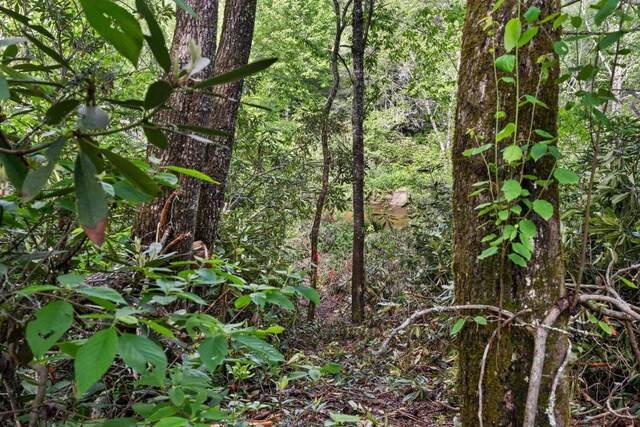 LT29/36 Long Brg N, Cullowhee, NC 28717