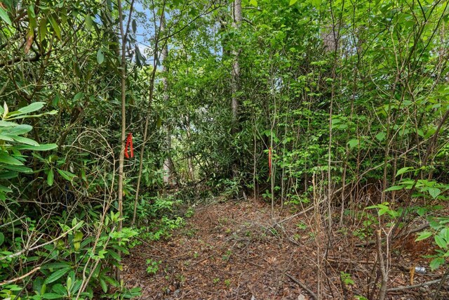 LT29/36 Long Brg N, Cullowhee, NC 28717