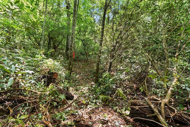 LT29/36 Long Brg N, Cullowhee, NC 28717